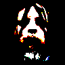 Profilbild von tomasz cywiński
