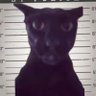 oui's profile picture