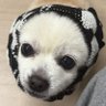 2ll's profile picture