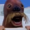 fuzzywalrus18's profile picture