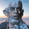 Atef Turki profil fotoğrafı
