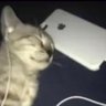 cho's profile picture