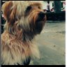 Jedimaster007 profil fotoğrafı