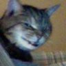 Profilbild von BaD Crypto