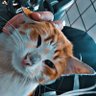 Profilbild von ๐ฅ๐ฒ๐ถ๐ธ