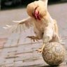 ℱŘ❸❸ᗪỖм_Ňㄥ𝔃 profil fotoğrafı