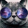Profilbild von Crafter