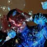 Sam Huxley profil fotoğrafı