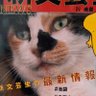 min mi 的头像