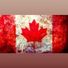 nonamerequired's profile picture