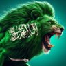 الضرغام1 الدكتور اللواء ركن's profile picture
