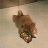 INU Nation 的头像