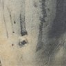 El ombligo Del Chaco profil fotoğrafı