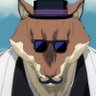 DogNinja profil fotoğrafı