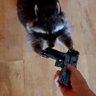 Cod profil fotoğrafı