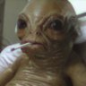 microwavooor's profile picture