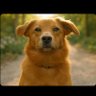 モナカ、ギャンブルやめるってよ profil fotoğrafı