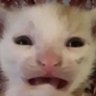 aaiaaiaaa's profile picture