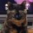 ドロンコ's profile picture