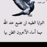 ابو نايف اليافعي profil fotoğrafı