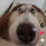 ชอบอยู่คนเดียว's profile picture