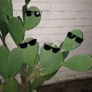 H0LTY_'s profile picture