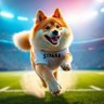 Profilbild von STREAK CRYPTO | STREAK on Solana