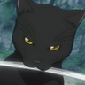 Profilbild von Kuro-Neko-San