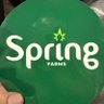 🚪💚🌱SPRING FARMS OK profil fotoğrafı