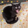 старпёр 🏴☠️ profil fotoğrafı