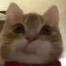 Profilbild von 惹我我就说胡话
