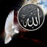Profilbild von NisreenAhmed
