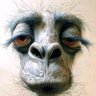 Fafa Mutheru's profile picture