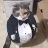 Web's profile picture