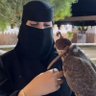 غيمة مطر profil fotoğrafı
