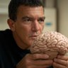 Profilbild von Antonio SinBanderas