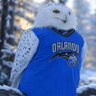 Superb Owl ็ๅคดๅ