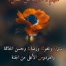 Фото профиля Salah Abakar