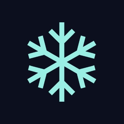 Winter Walrus 🦭/acc ❄️'s profile picture