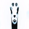 Profilbild von xvett0