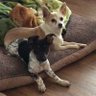 Judy profil fotoğrafı