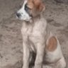Godo profil fotoğrafı