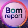 ะคะพัะพ ะฟัะพัะธะปั Bom Report