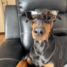 Profilbild von Mark