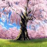 Фото профиля なななな