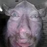 Profilbild von tinglebingle