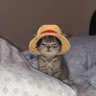 ๐๐ฉ๐ข๐ฎ๐ฑ ๐ถฬ๐จ๐ฐฬ's profile picture