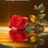 Diamantgardenia2 profil fotoğrafı
