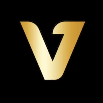 VYBEGuys's profile picture