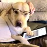 Silly Girl's profile picture